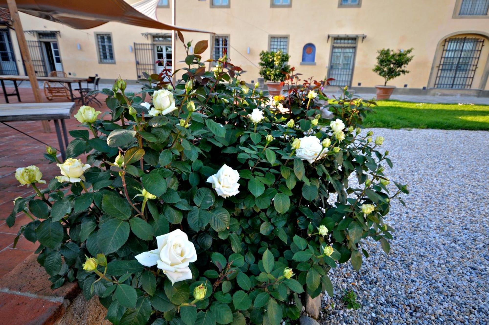 Agriturismo San Rocco 피스토이아 외부 사진