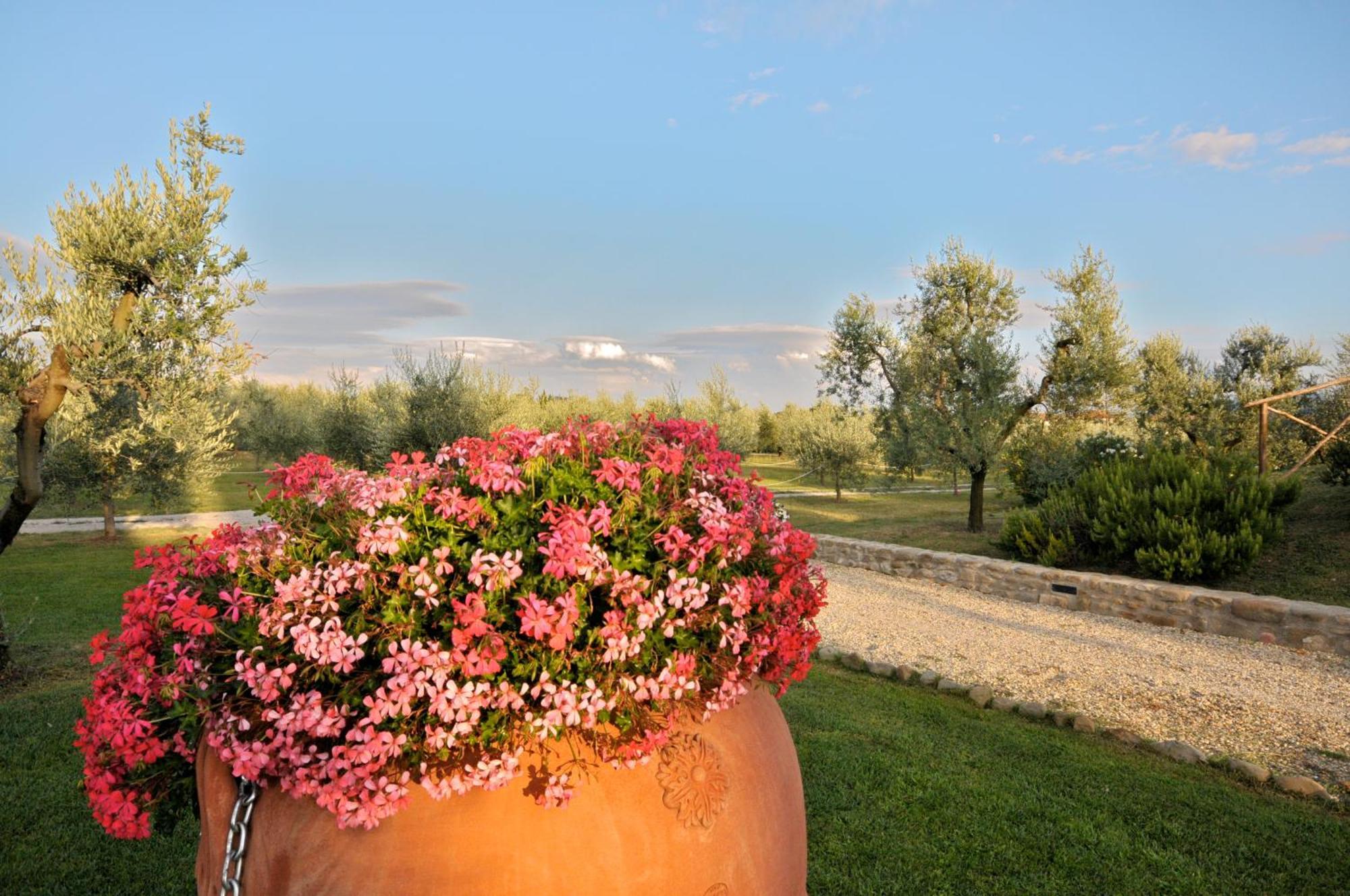Agriturismo San Rocco 피스토이아 외부 사진
